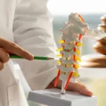 A doctor points to a spine model with a judge's gavel in the background.