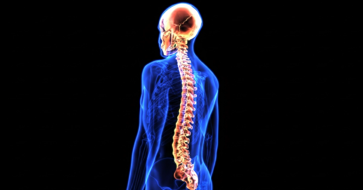 How Does a Spinal Cord Injury Affect the Brain?